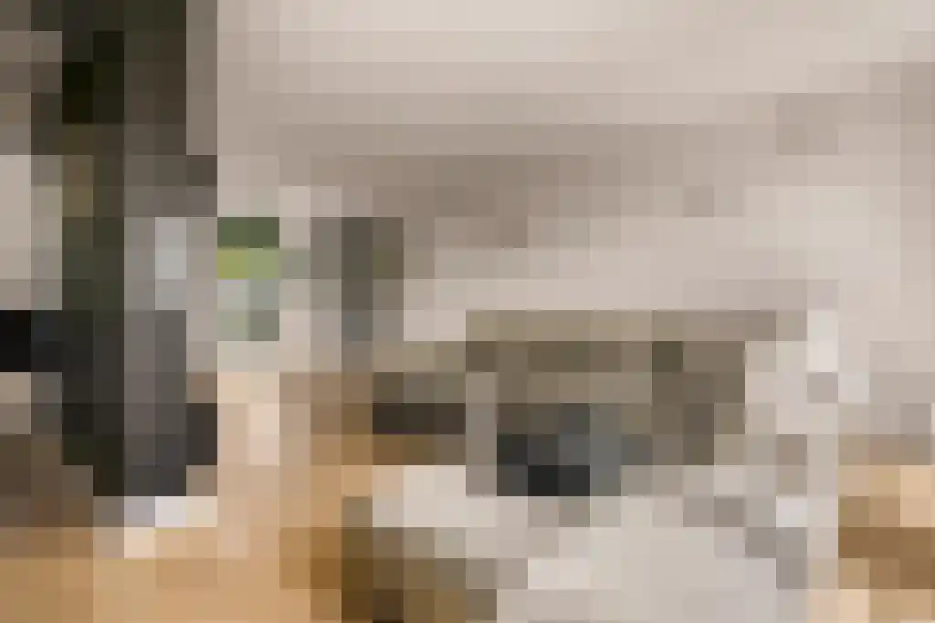 Deltaweg 63 Hoofddorp thumbnail 30