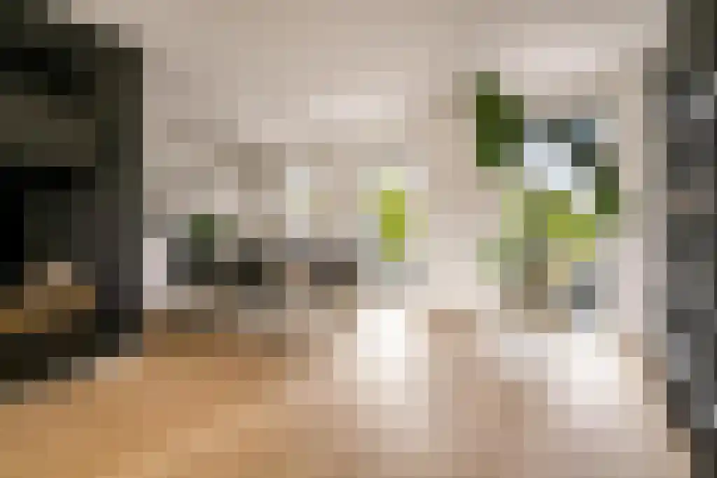 Deltaweg 63 Hoofddorp thumbnail 31