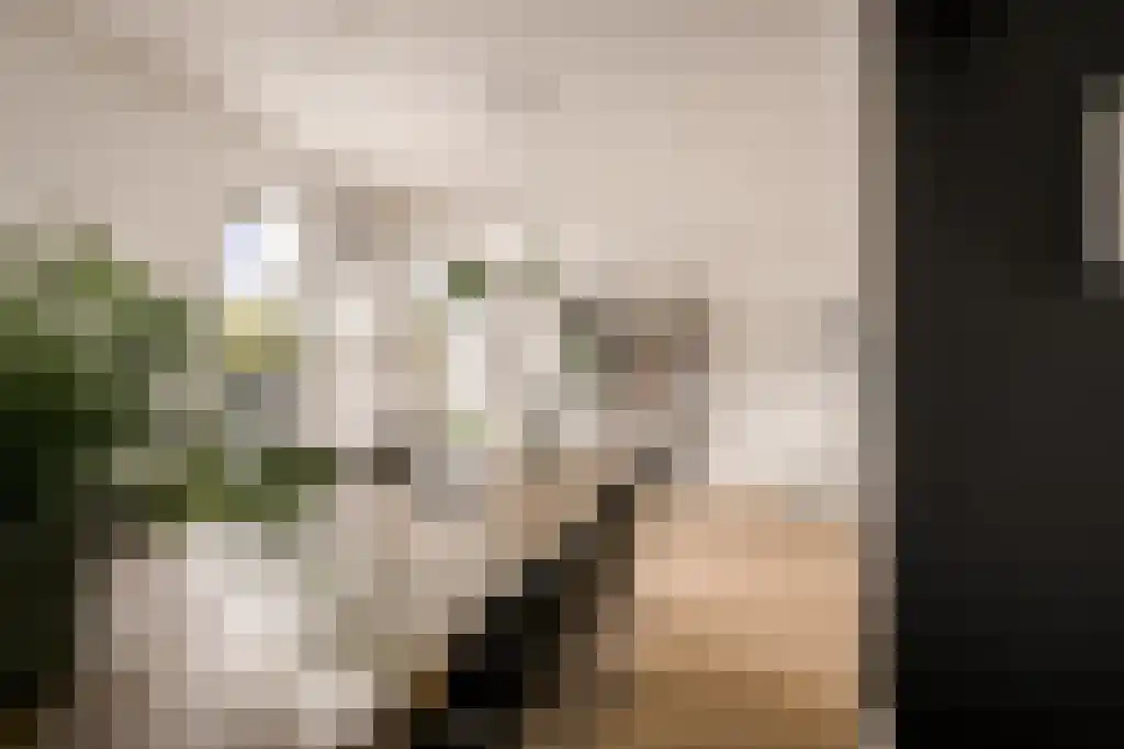 Deltaweg 63 Hoofddorp thumbnail 40