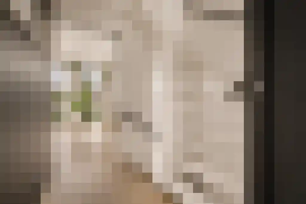 Deltaweg 63 Hoofddorp thumbnail 41