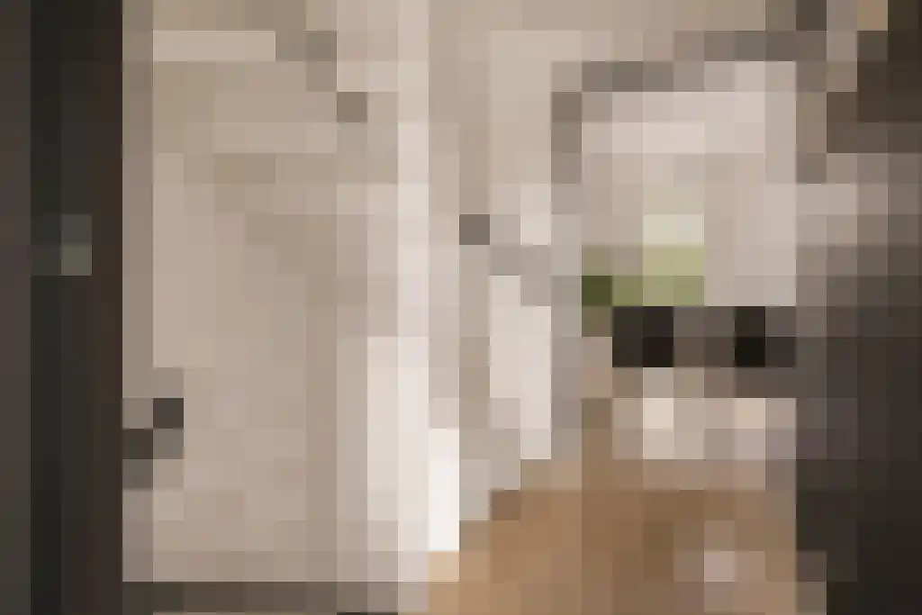 Deltaweg 63 Hoofddorp thumbnail 42