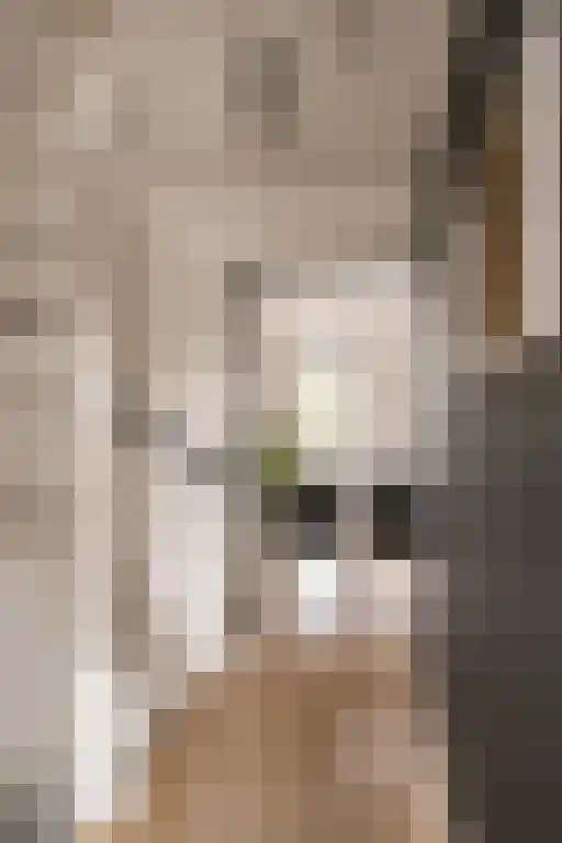 Deltaweg 63 Hoofddorp thumbnail 43