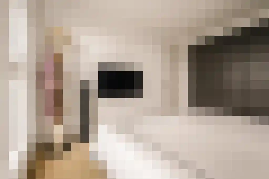 Deltaweg 63 Hoofddorp thumbnail 57