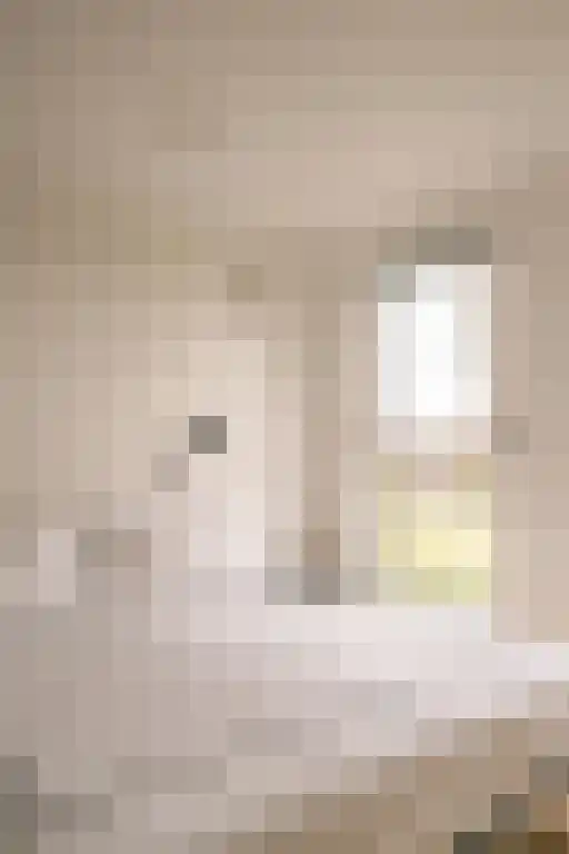 Deltaweg 63 Hoofddorp thumbnail 58