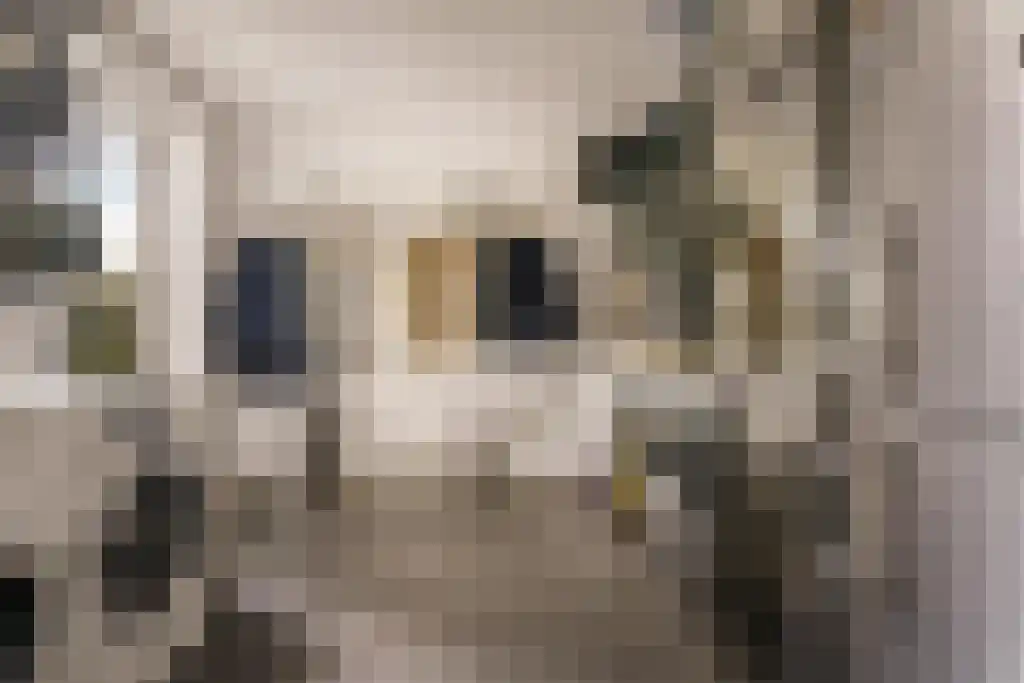 Deltaweg 63 Hoofddorp thumbnail 6