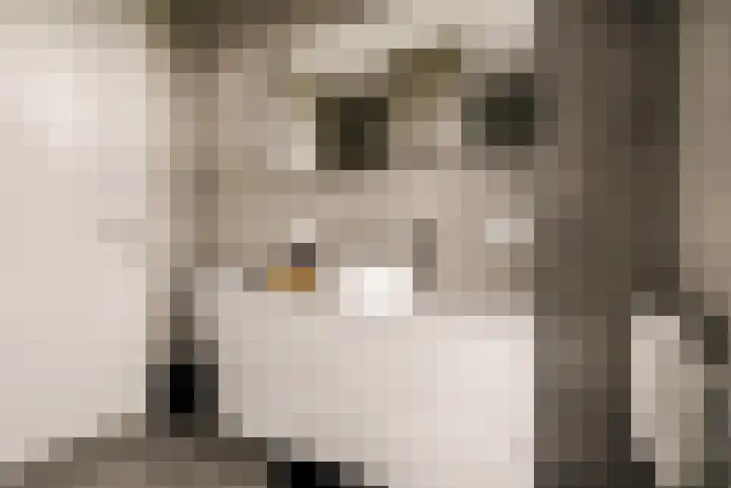 Deltaweg 63 Hoofddorp thumbnail 64
