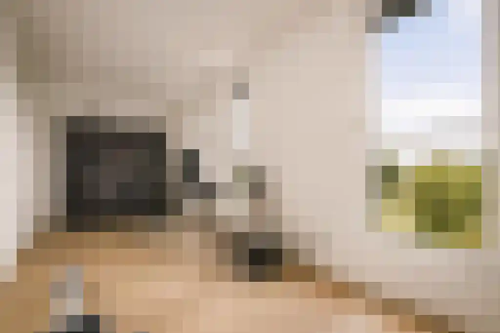 Deltaweg 63 Hoofddorp thumbnail 68