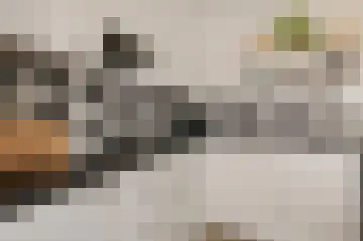Deltaweg 75 Hoofddorp thumbnail 16