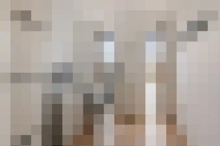 Deltaweg 75 Hoofddorp thumbnail 26