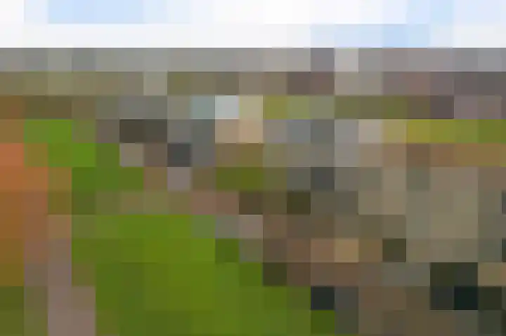 Deltaweg 75 Hoofddorp thumbnail 37