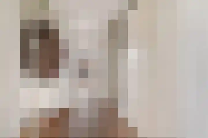 Deltaweg 75 Hoofddorp thumbnail 39