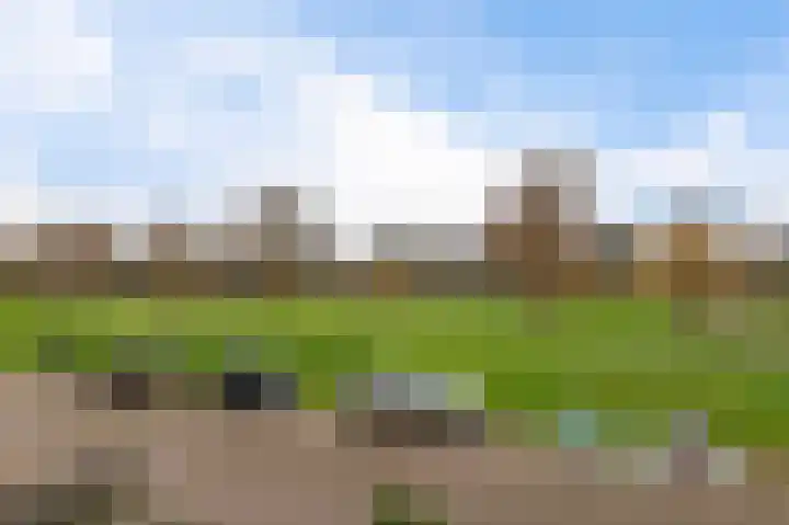 Deltaweg 75 Hoofddorp thumbnail 55