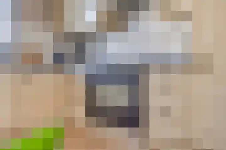 Delving 34 Akersloot thumbnail 13