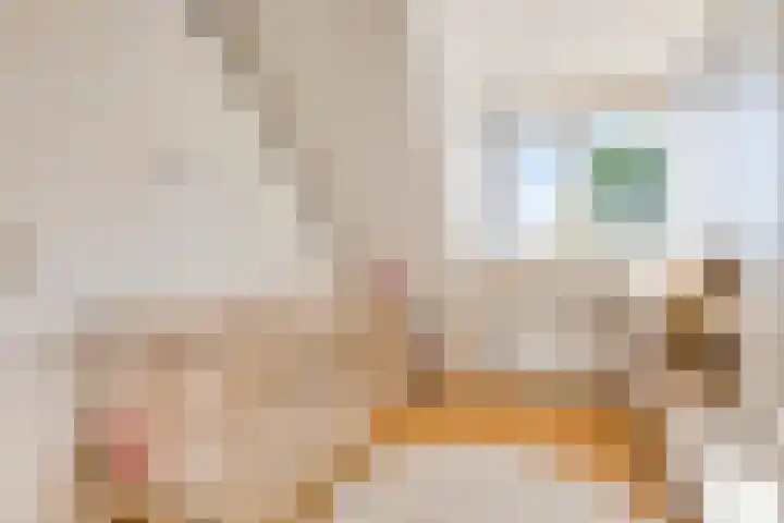 Delving 34 Akersloot thumbnail 21