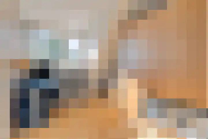 Delving 34 Akersloot thumbnail 23