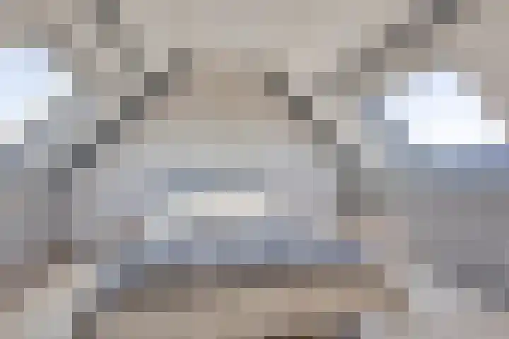 Delving 34 Akersloot thumbnail 26