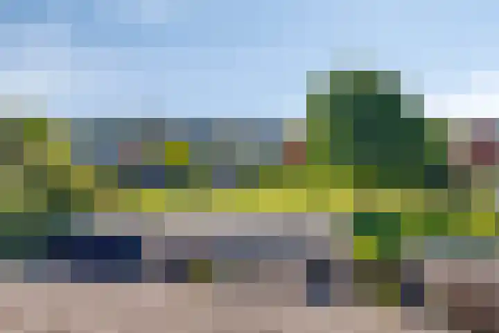 Delving 34 Akersloot thumbnail 28