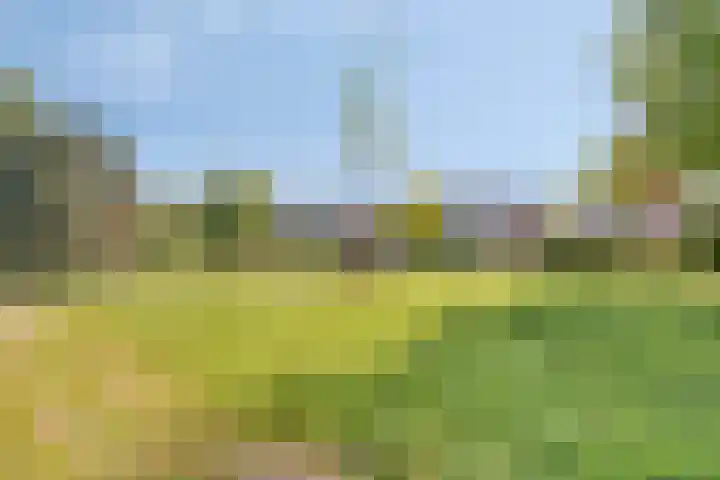 Delving 34 Akersloot thumbnail 36