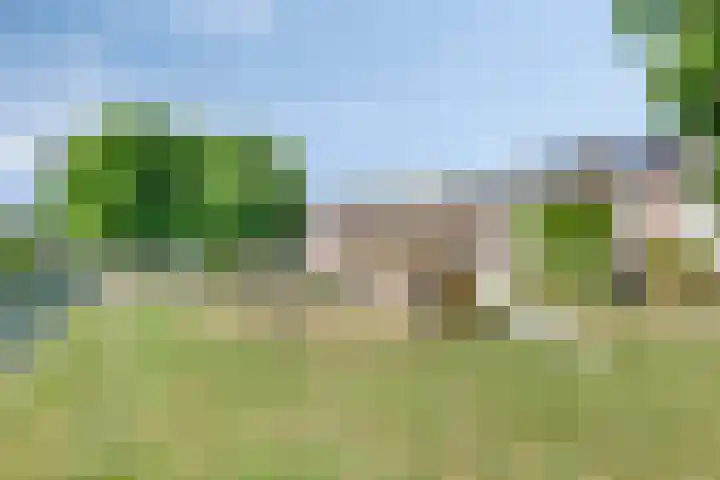 Delving 34 Akersloot thumbnail 38