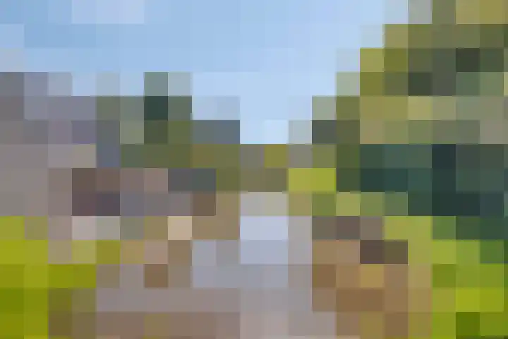 Delving 34 Akersloot thumbnail 39