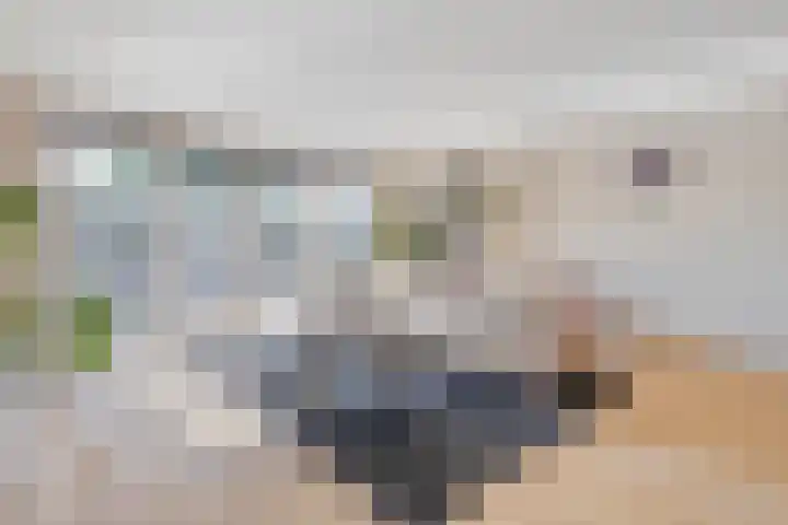 Delving 34 Akersloot thumbnail 8