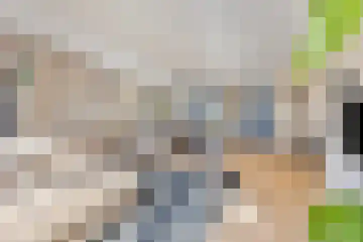 Delving 34 Akersloot thumbnail 9