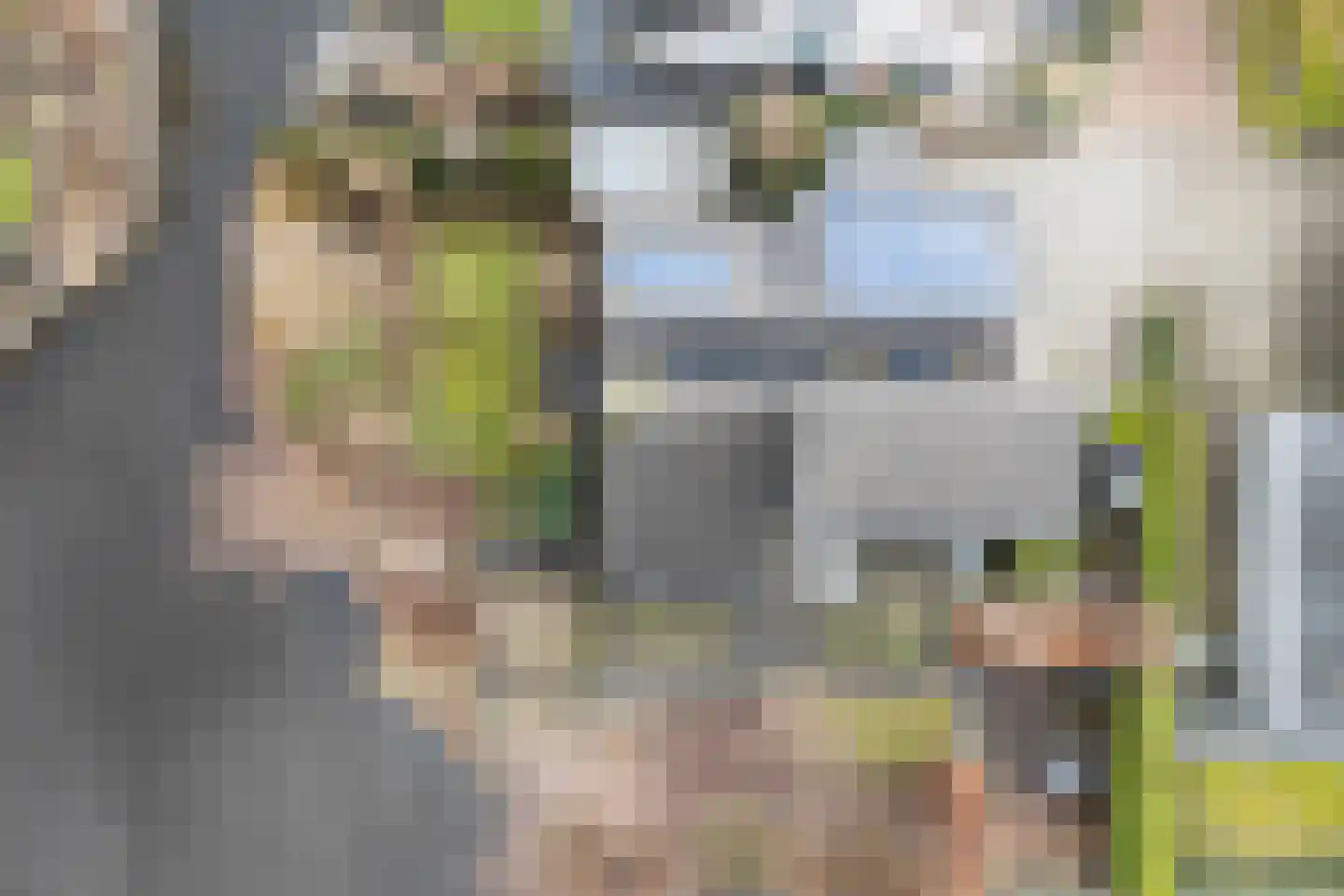 Delving 42 Akersloot thumbnail 54