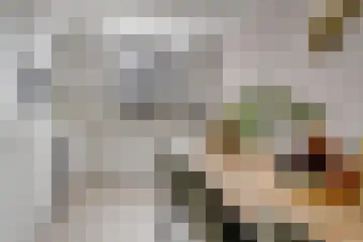 Delving 68 Akersloot thumbnail 10