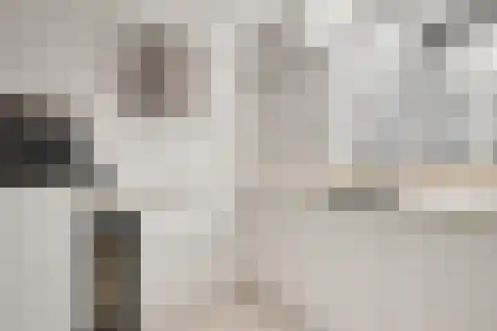 Delving 68 Akersloot thumbnail 13