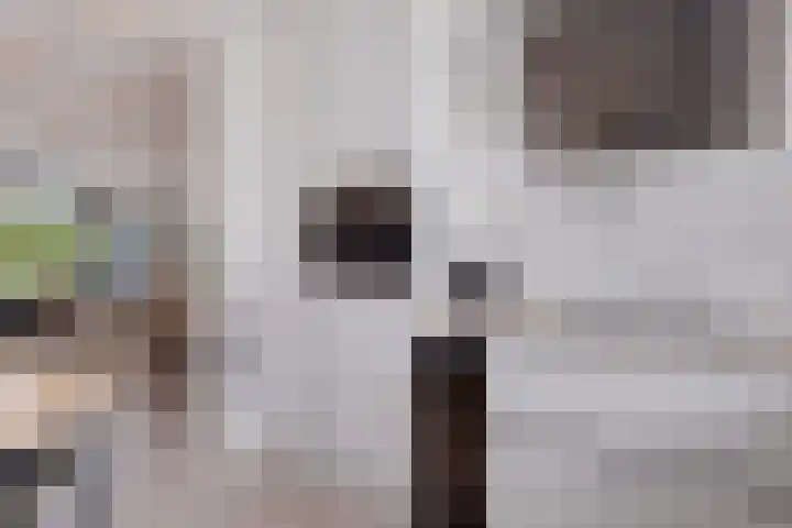 Delving 68 Akersloot thumbnail 15