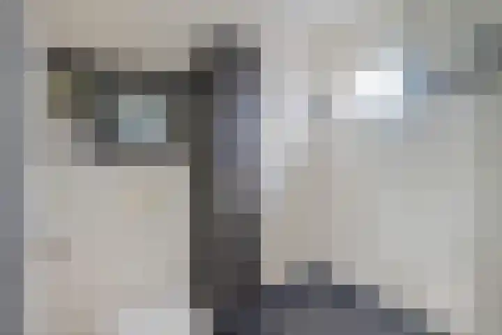Delving 68 Akersloot thumbnail 21