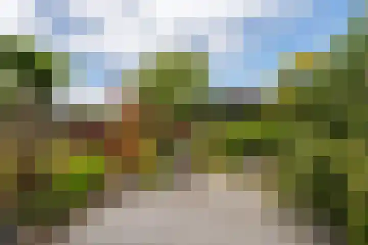 Delving 68 Akersloot thumbnail 36