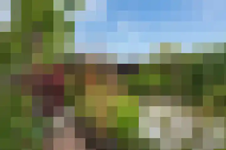 Delving 68 Akersloot thumbnail 37