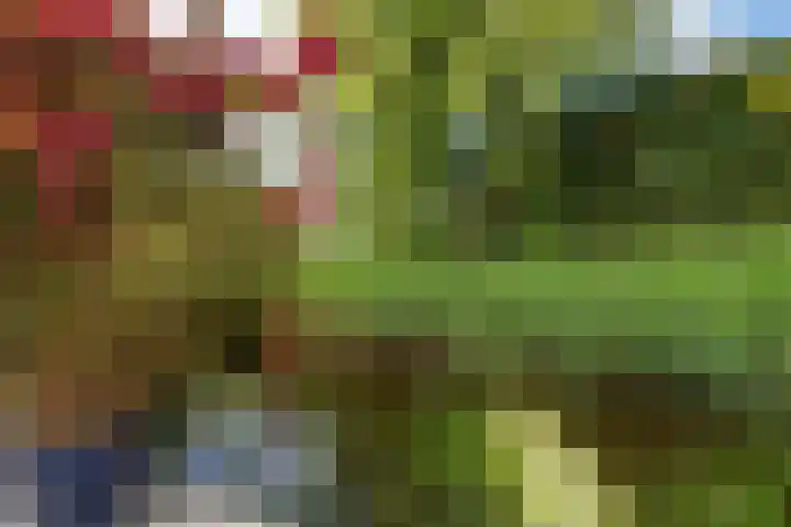 Delving 68 Akersloot thumbnail 39