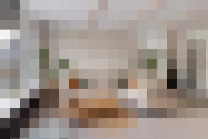 Delving 68 Akersloot thumbnail 5
