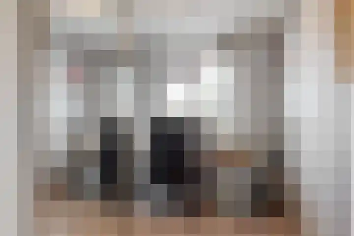 Delving 71 Akersloot thumbnail 13