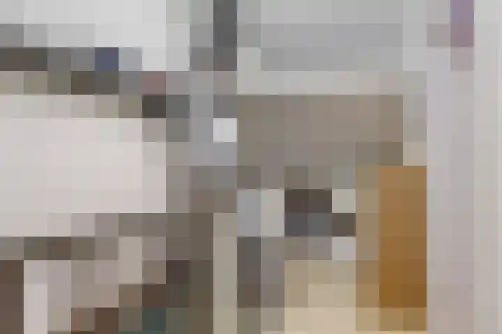Delving 71 Akersloot thumbnail 21