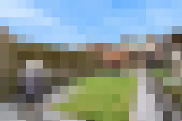 Delving 71 Akersloot thumbnail 25