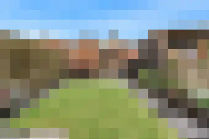 Delving 71 Akersloot thumbnail 26