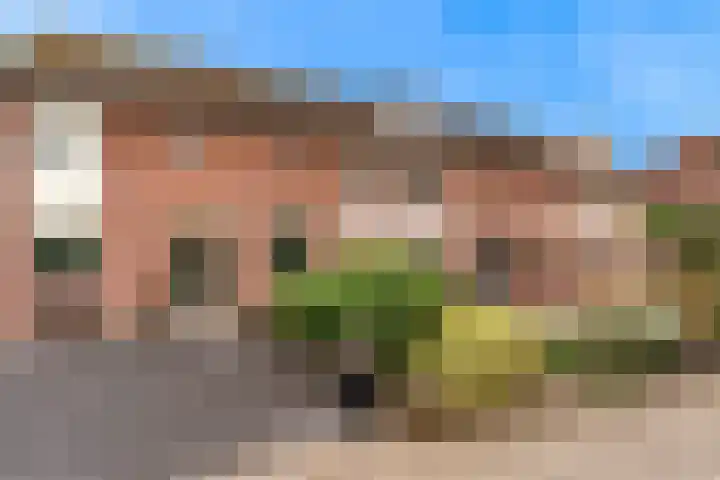 Delving 71 Akersloot thumbnail 28