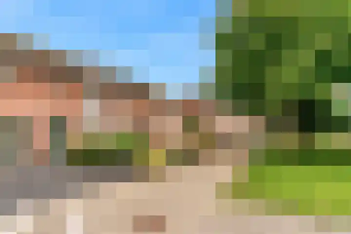 Delving 71 Akersloot thumbnail 29