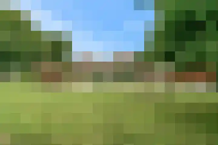 Delving 71 Akersloot thumbnail 30