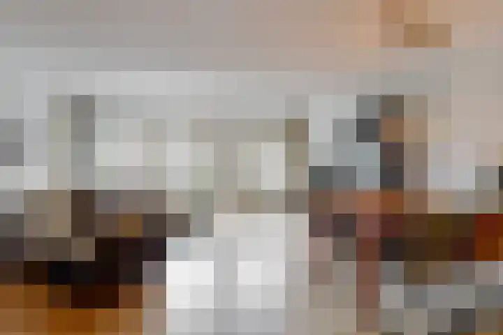 Delving 71 Akersloot thumbnail 8