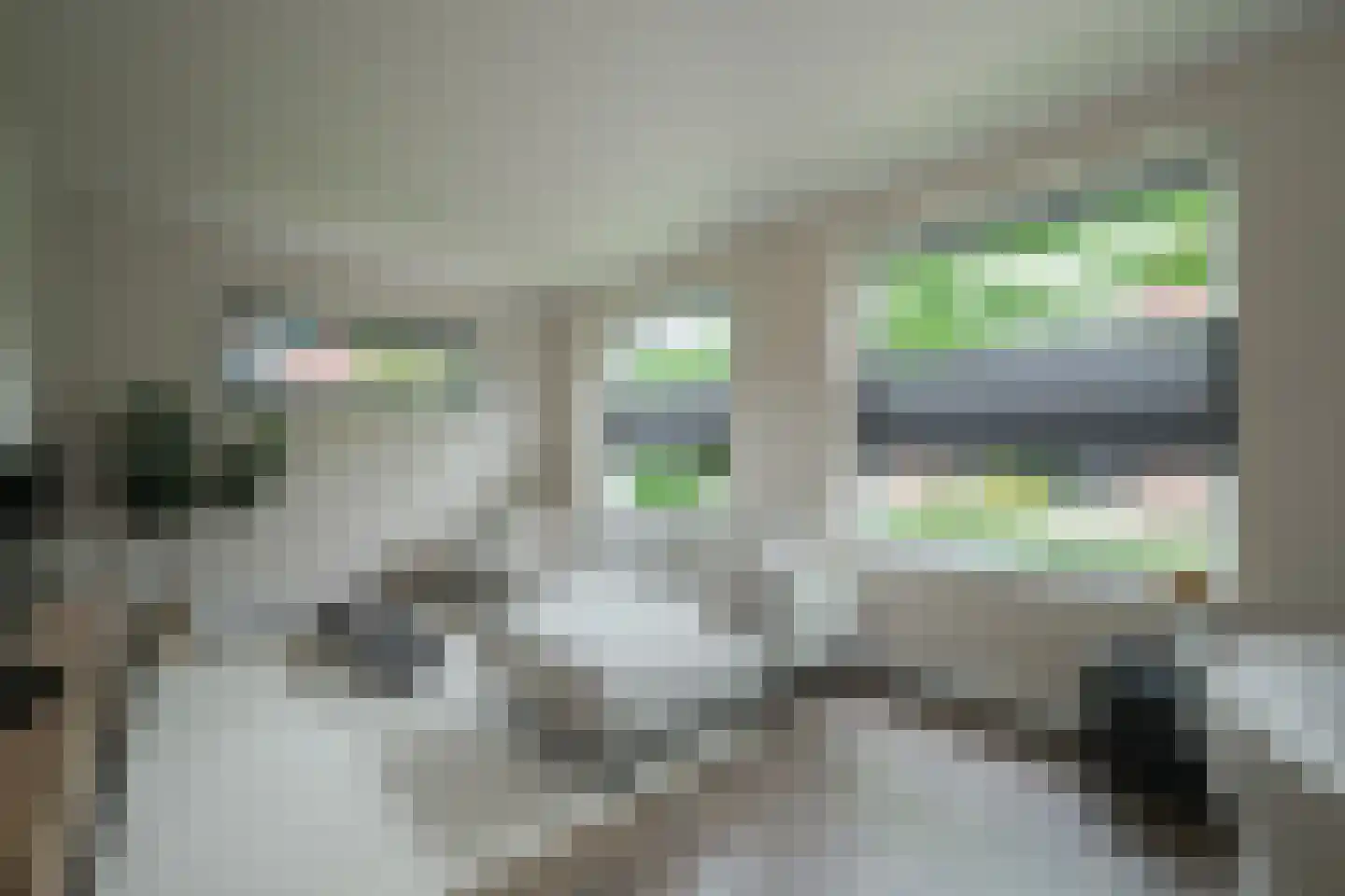 Delweg 12 Ulft thumbnail 14