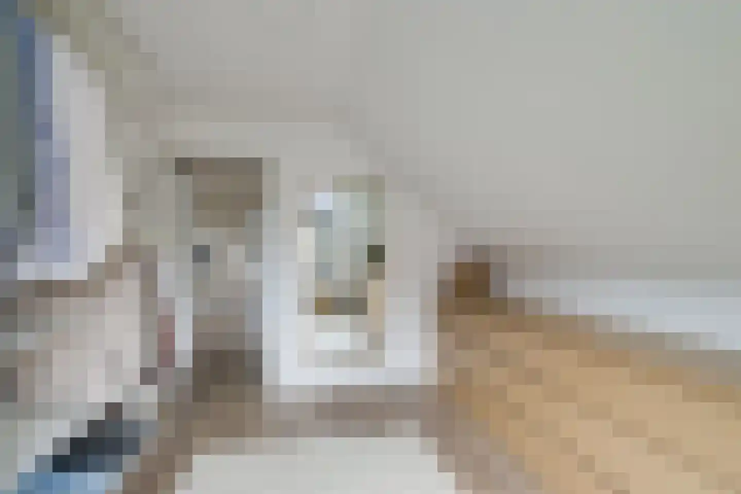 Delweg 12 Ulft thumbnail 31