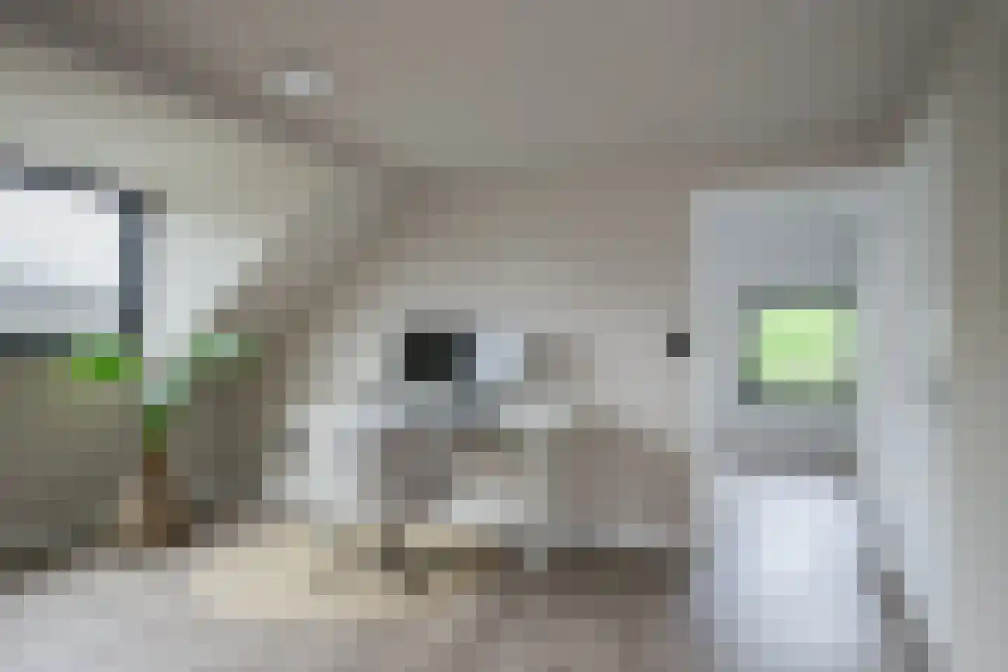 Delweg 12 Ulft thumbnail 35