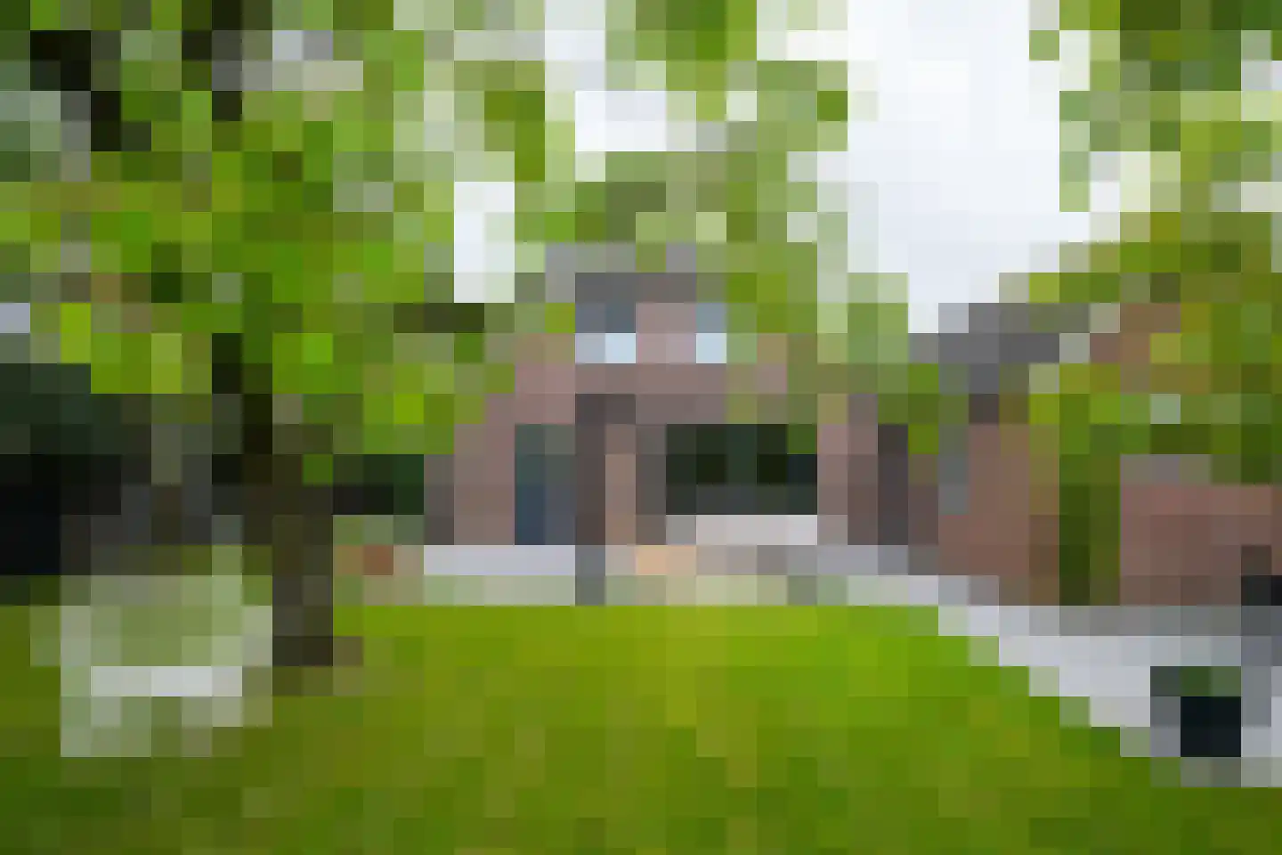 Delweg 12 Ulft thumbnail 43