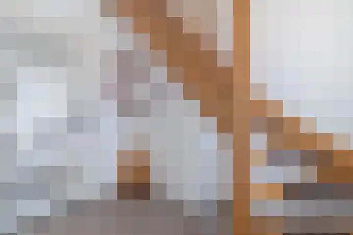 Delweide 32 Nieuwstadt thumbnail 12