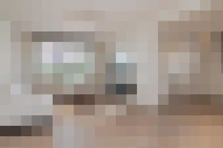 Delweide 32 Nieuwstadt thumbnail 13