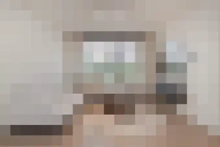 Delweide 32 Nieuwstadt thumbnail 14